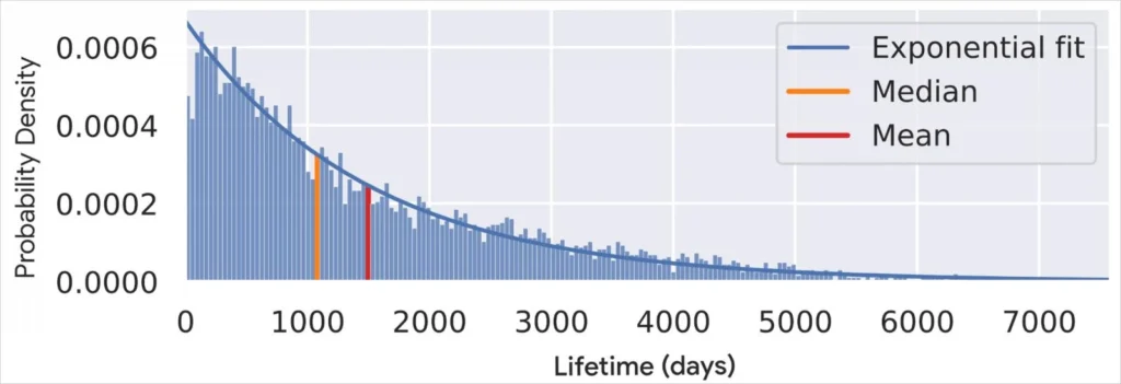 Probability of memory flaws in relation to code lifetime
