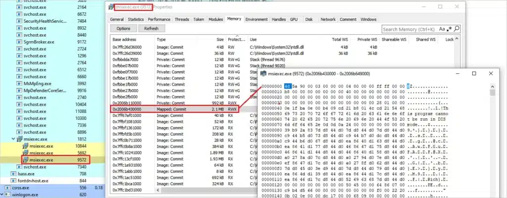 Final payload mapped in the memory of the msiexec process.