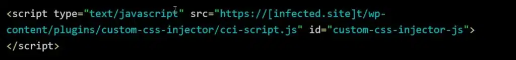 Injected JavaScript script