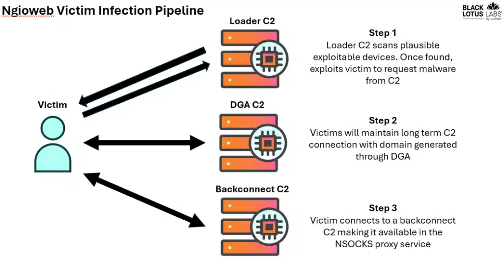 Ngioweb post-compromise activity