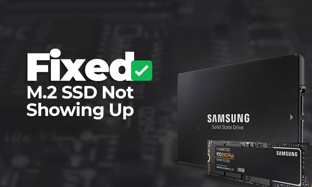 SSD Not Showing Up? Quick Fixes to Try