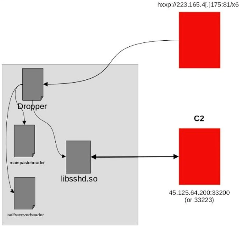 Overview of the infection chain