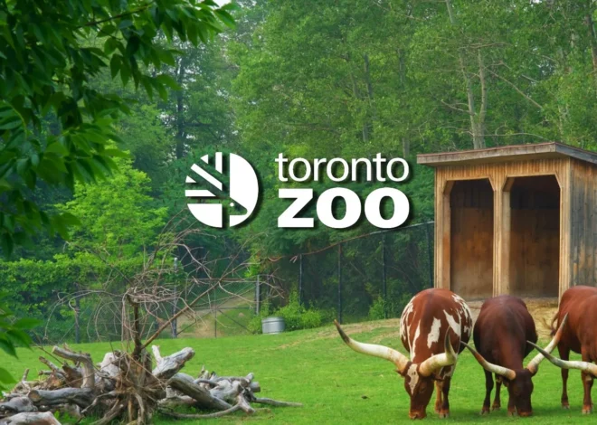 Toronto Zoo shares update on last year’s ransomware attack