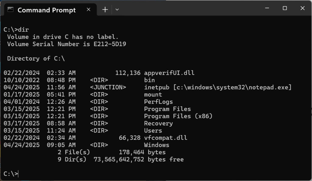 C:\inetpub junction pointing to C:\Windows\system32\notepad.exe