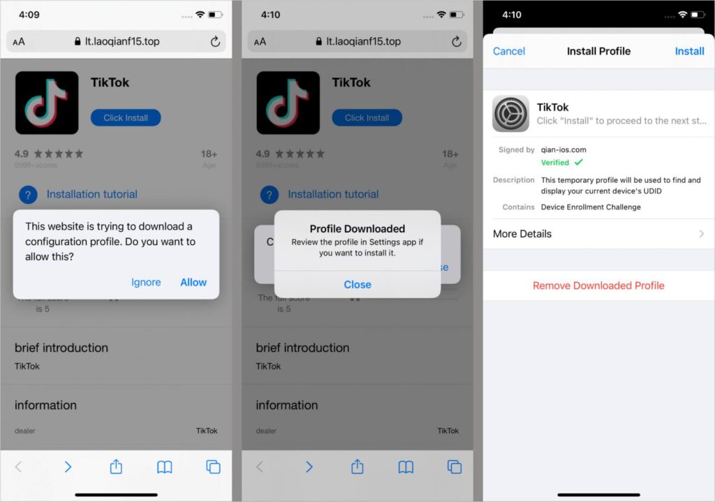 TikTok clone app installed via an iOS profile