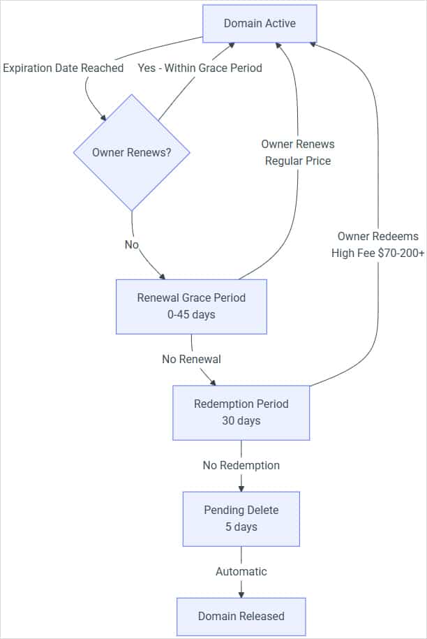 Domain lifecycle stages