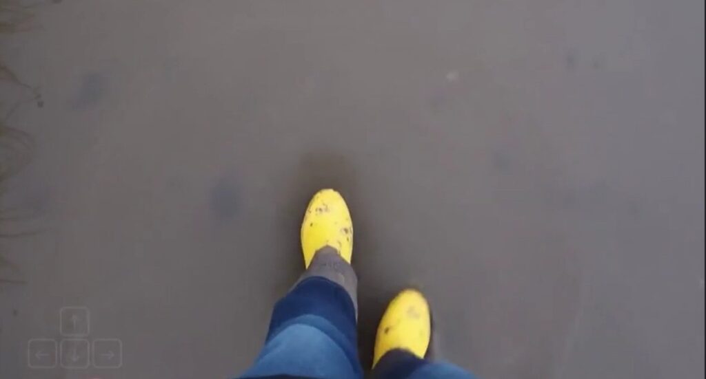 Genie 3 also generates a real human walking in the simulated world