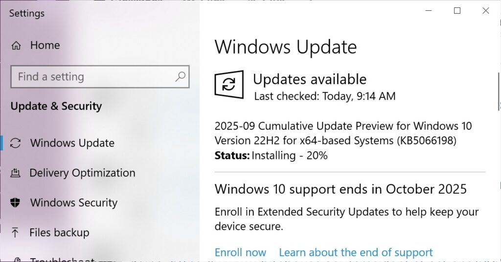 KB5066198 preview update
