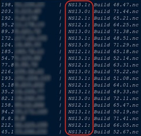 List of vulnerable NetScaler instances