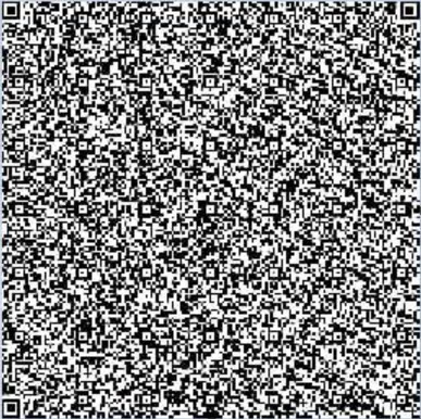 QR code returned by the malicious URL