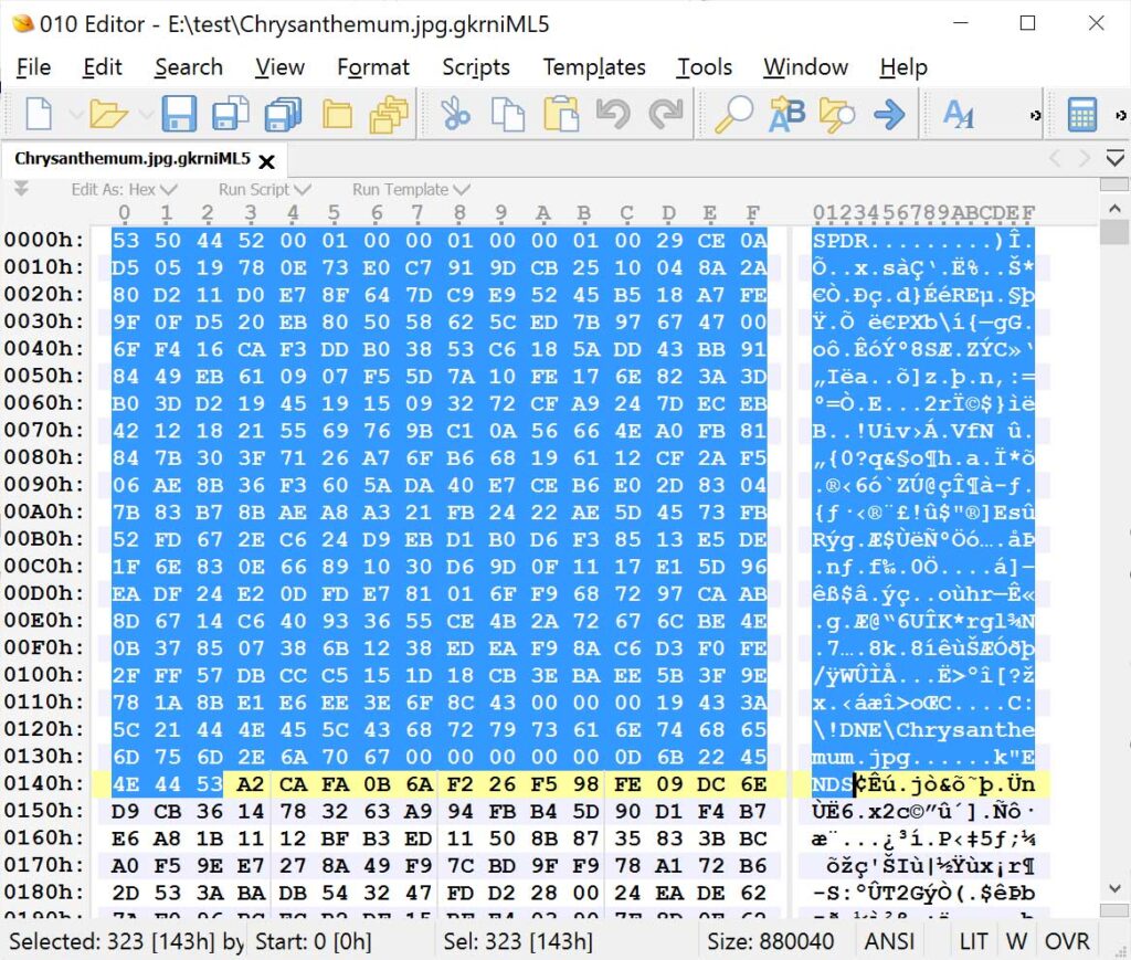 Files encrypted by ShinySp1d3r ransomware