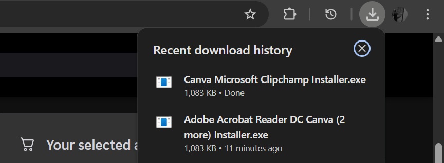 Package is automatically downloaded