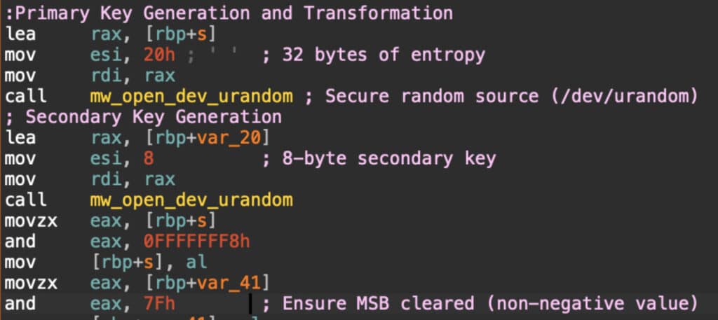 'Mario' generating the two encryption keys