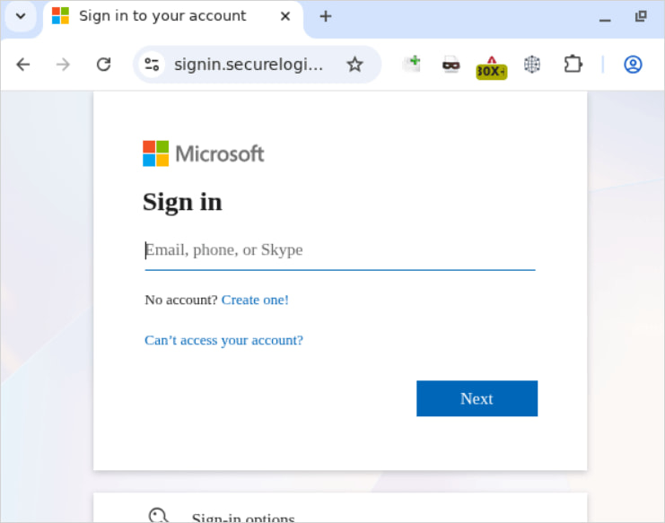 The Microsoft-themed phishing page