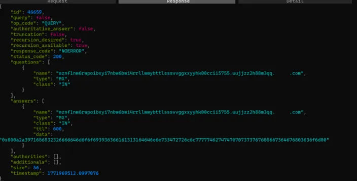 Captured DNS communication
