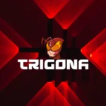 Trigona ransomware attacks use custom exfiltration tool to steal data