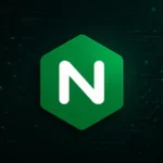 18-year-old NGINX vulnerability allows DoS, potential RCE