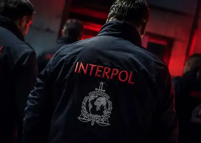 INTERPOL ‘Operation Ramz’ seizes 53 malware, phishing servers