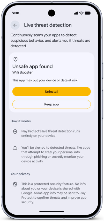 Flagging a malicious app