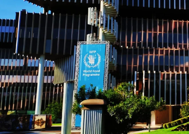 UN food agency discloses breach affecting 600,000 Gaza households
