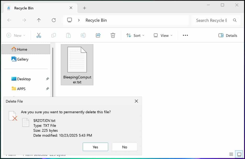 Recycle Bin bug